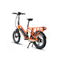 G30-CARGO Electric Bike