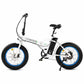 36v Folding Fat Tire Electric Bike