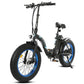 DOLPHIN Folding Fat Tire Electric Bike