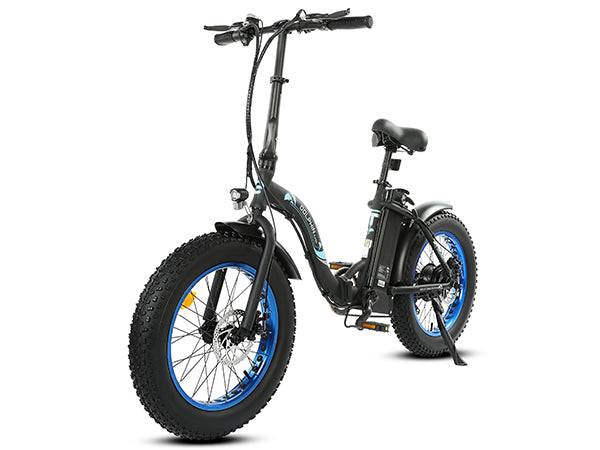 DOLPHIN Folding Fat Tire Electric Bike