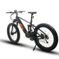 FAT-HS Fat Tire Electric Bike